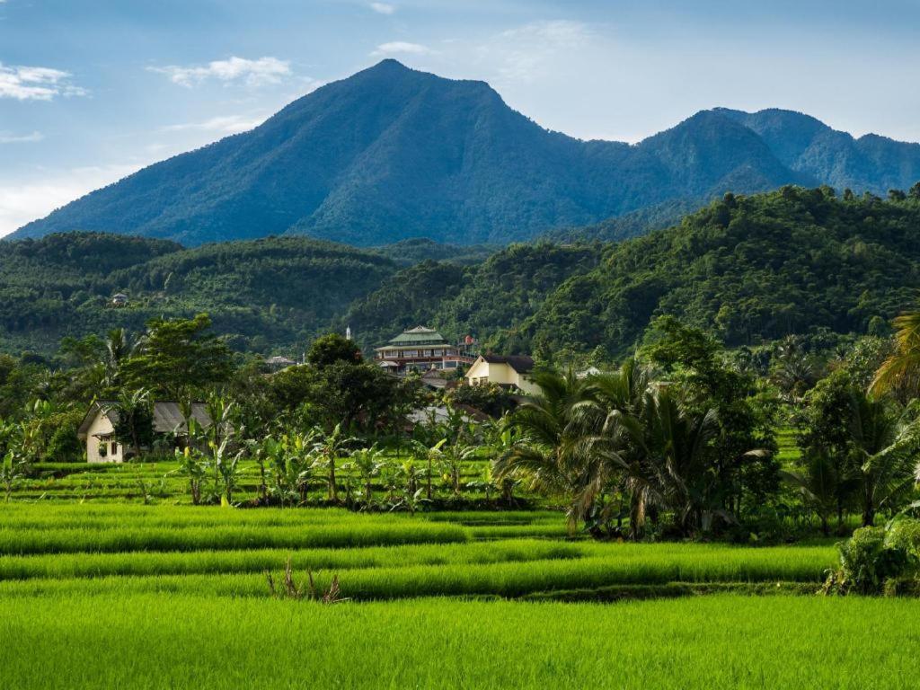 Hotel Bianco Costel Bogor Esterno foto